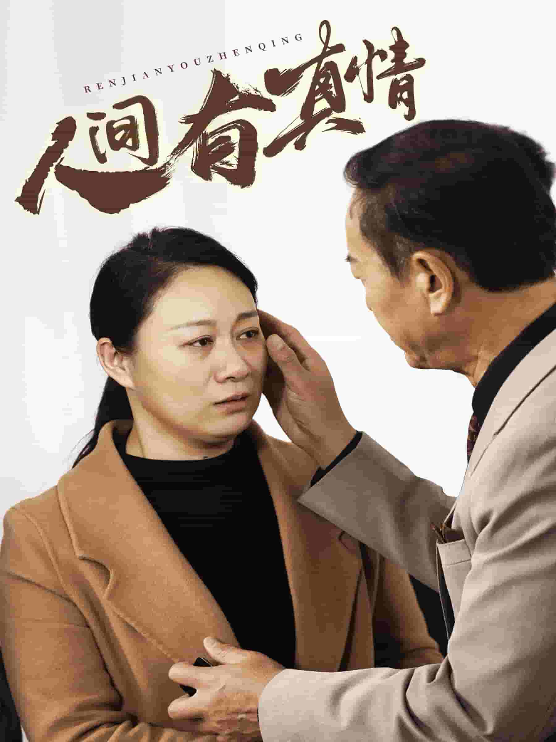 人间有真情(2025)海报