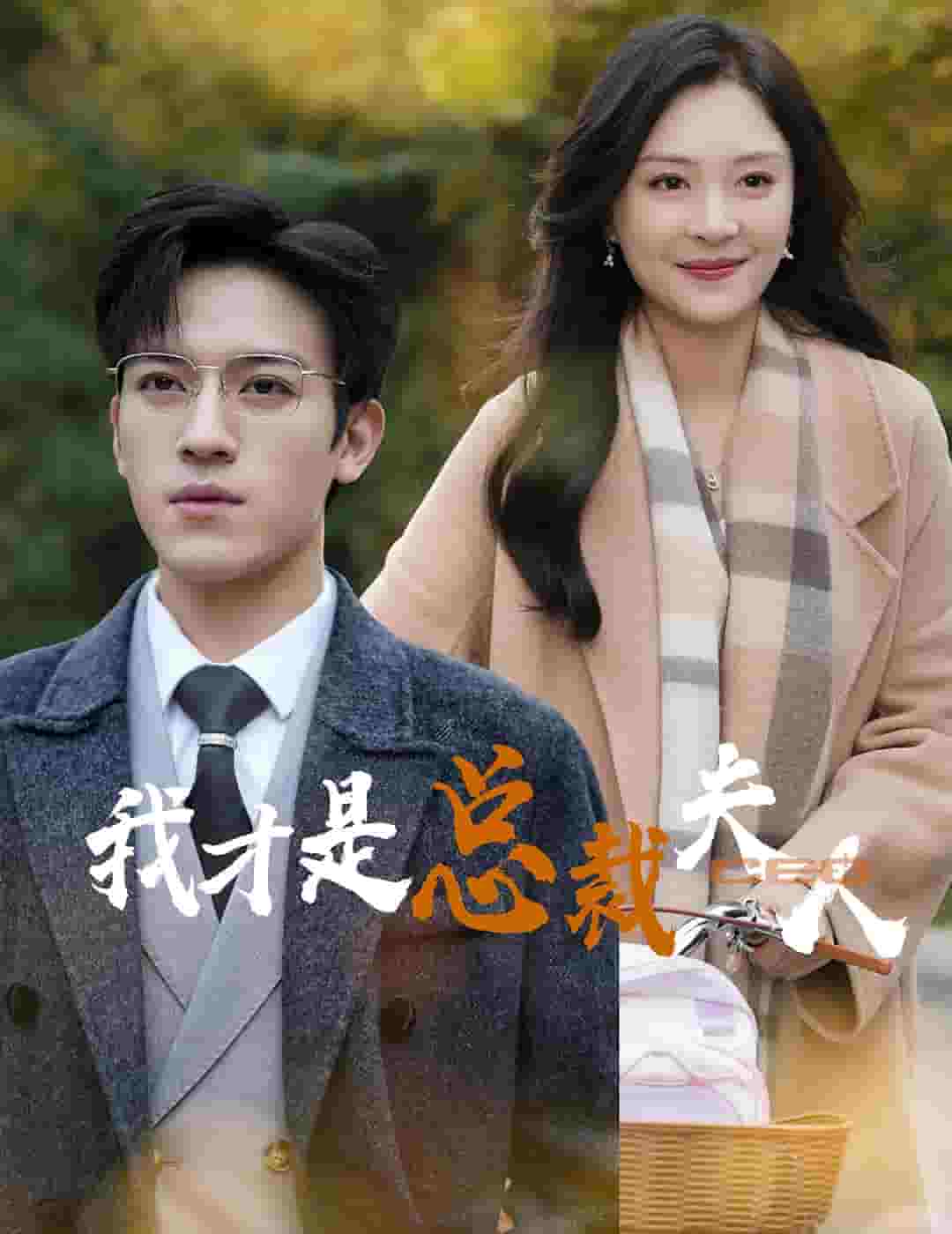 我才是總裁夫人(2024)海報