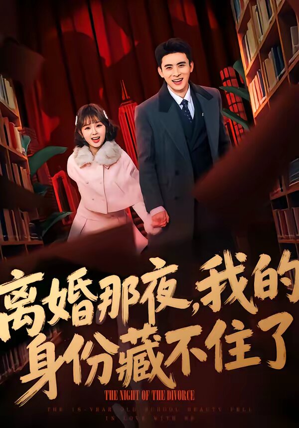 離婚那夜,我的身份藏不住了(2026)海報
