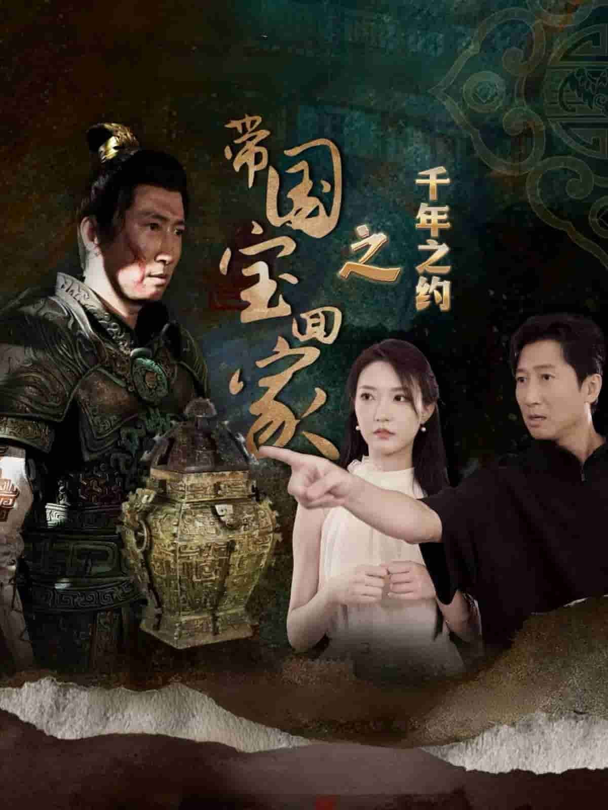 帶國寶回家之千年之約(2024)海報