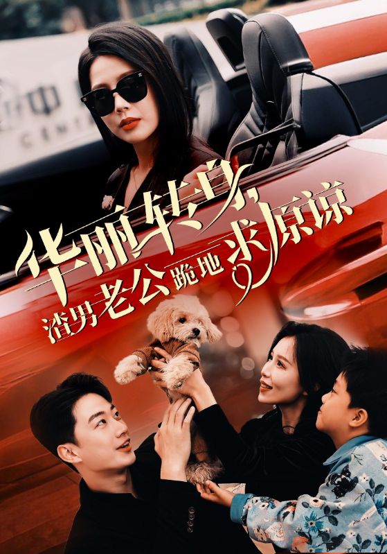 华丽转身渣男老公跪地求原谅(2024)海报