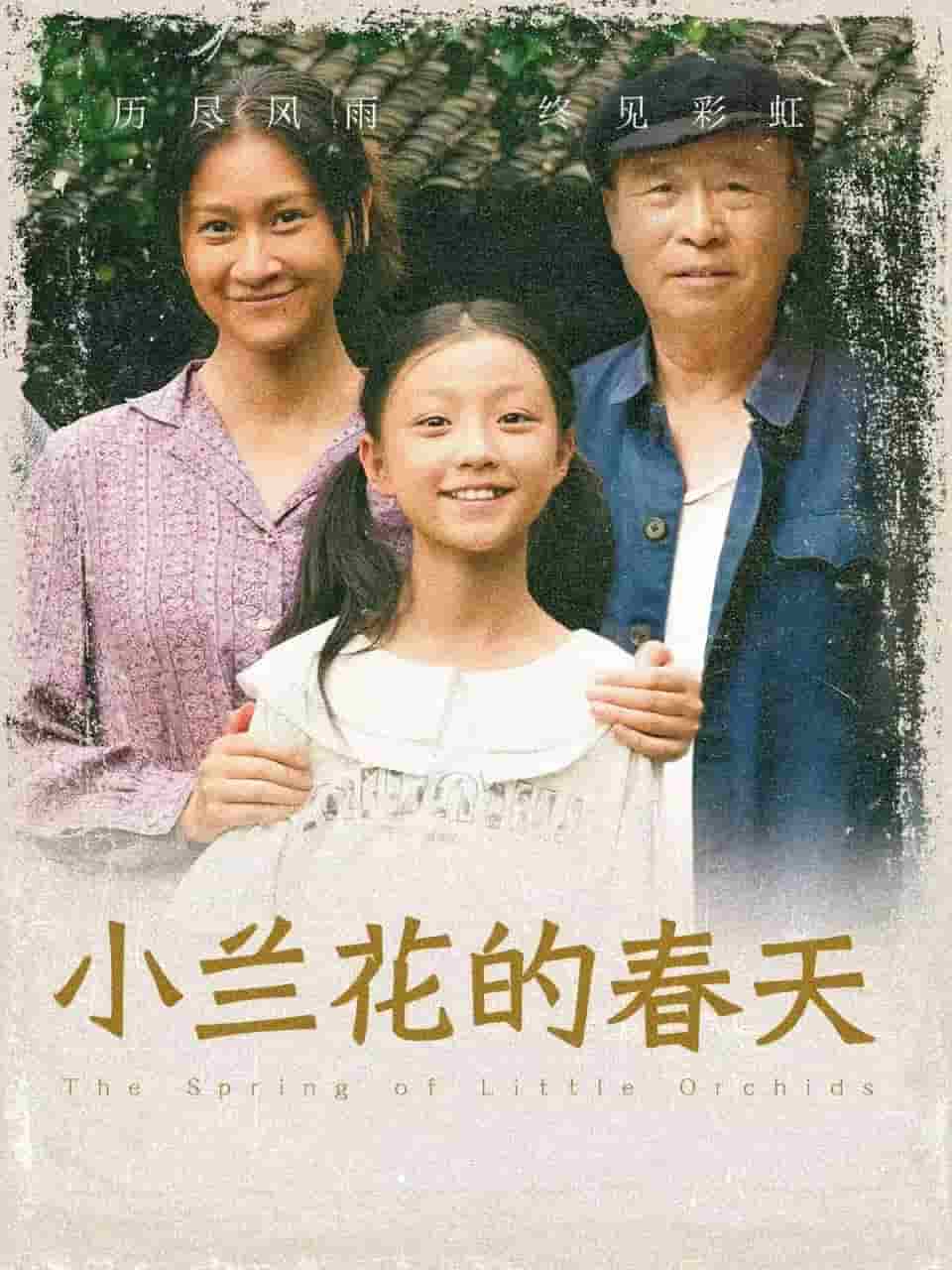 小兰花的春天(2024)海报