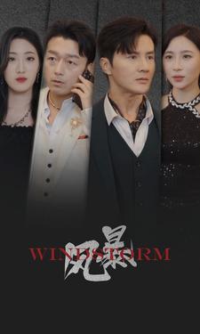 风暴 短剧版(2024)海报