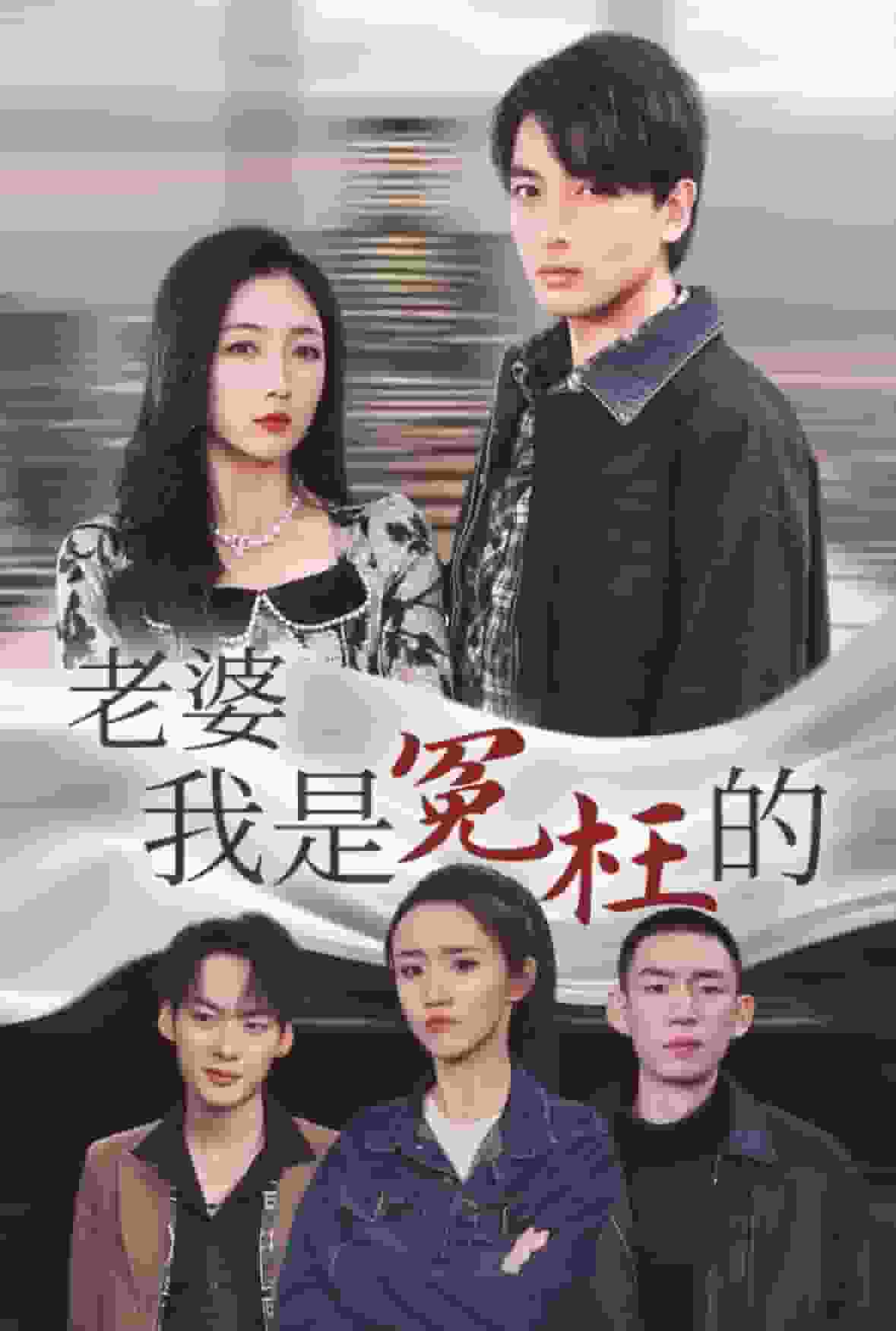 老婆我是冤枉的(2025)海報