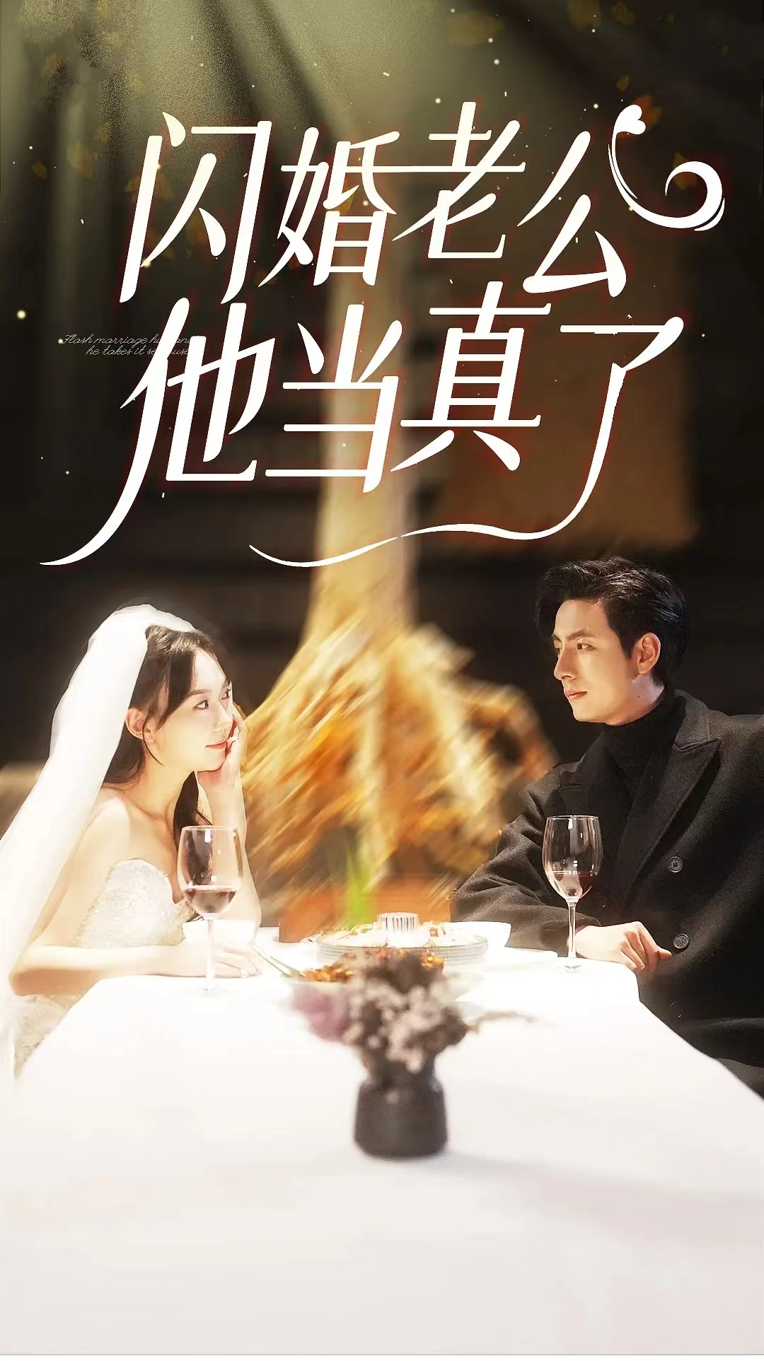 闪婚老公他当真了(2024)海报