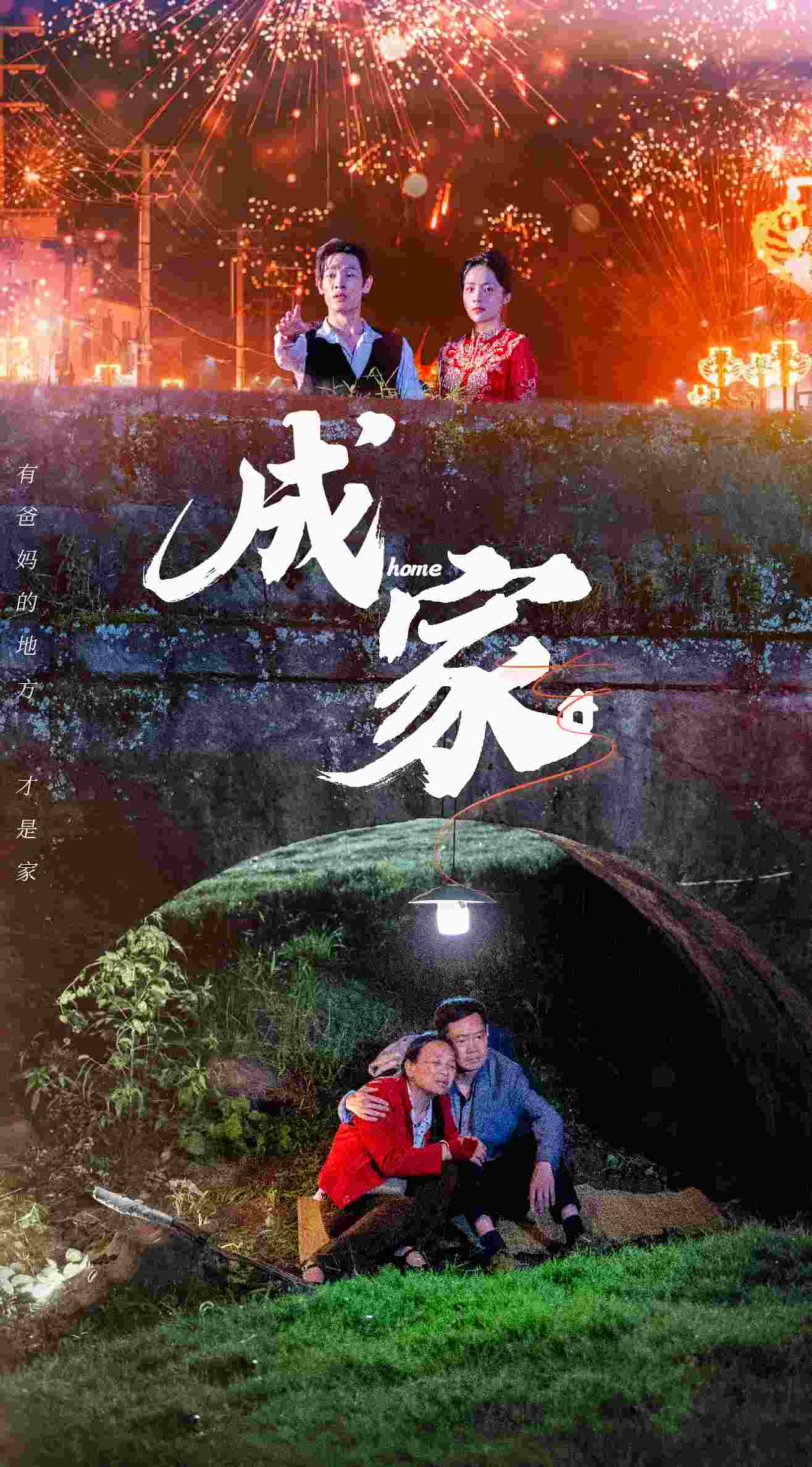 成家 短剧版(2024)海报