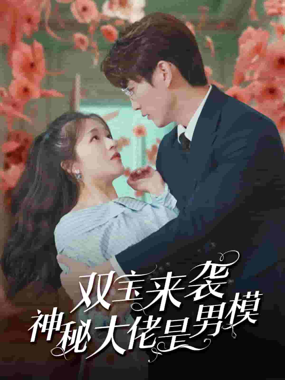 雙寶來襲神秘大佬是男模(2024)海報