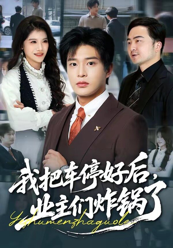 我把車停好後,業主們炸鍋了(2026)海報