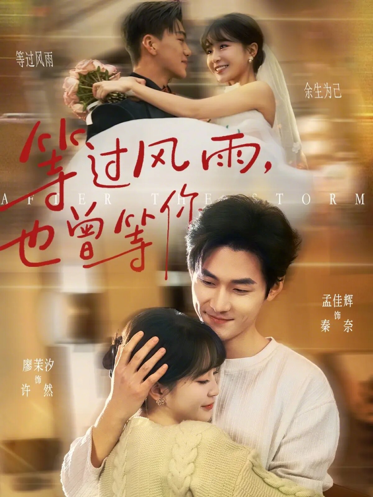 等過風雨,也曾等你(2026)海報
