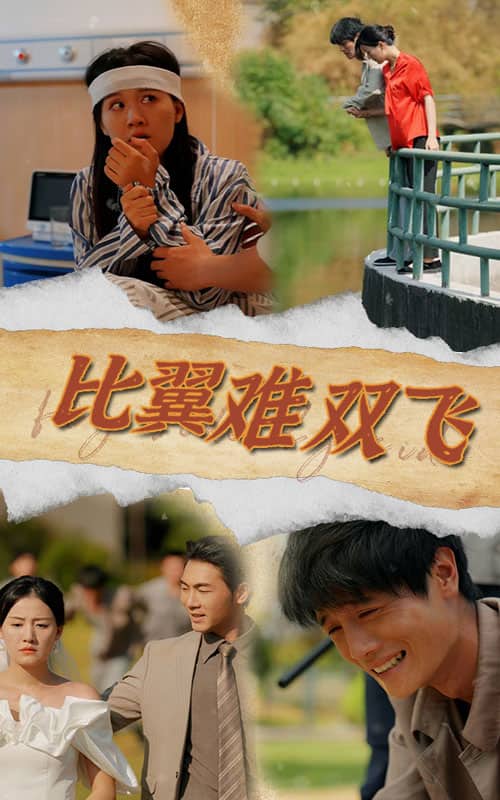 比翼难双飞(2024)海报