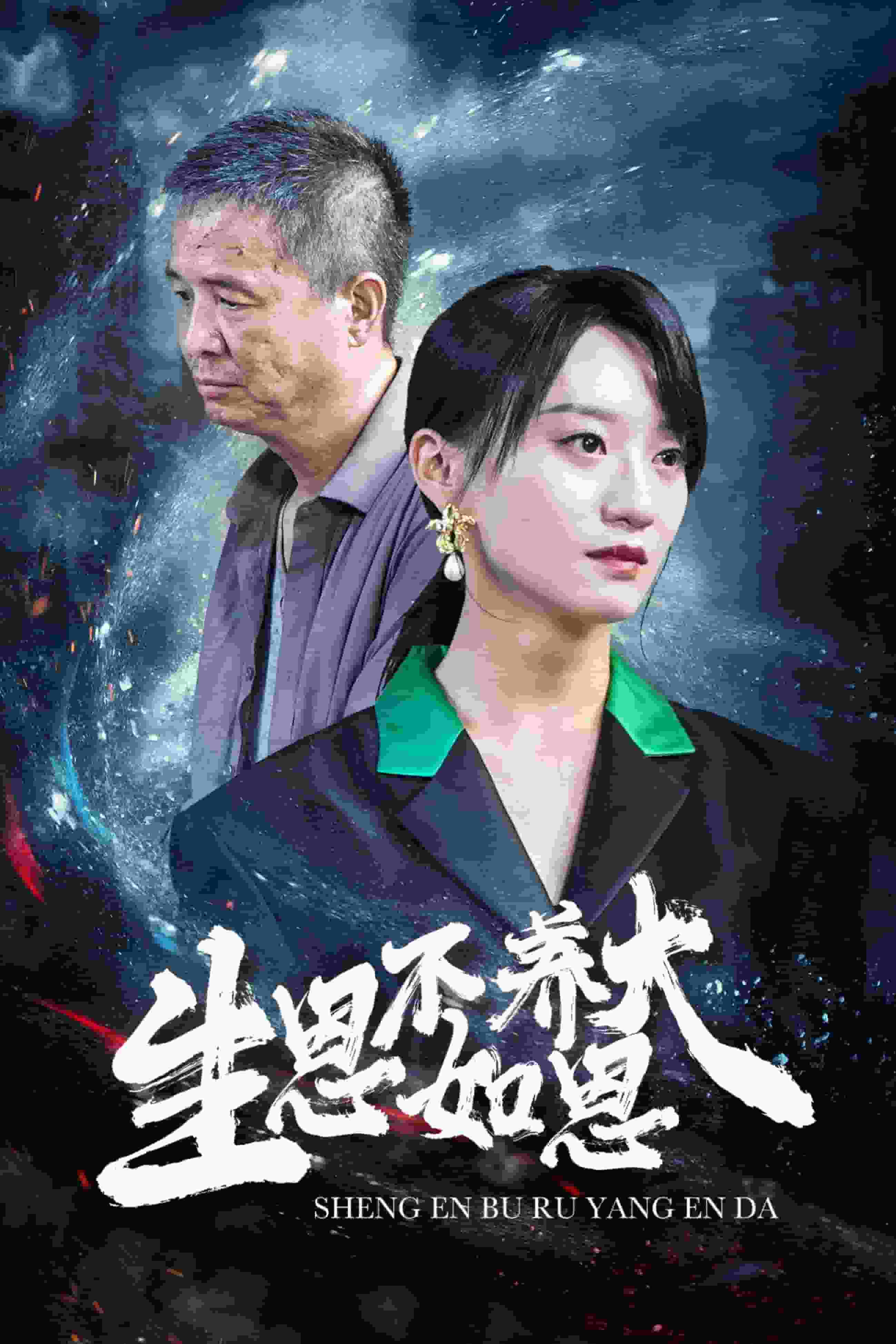 生恩不如養恩大(2024)海報