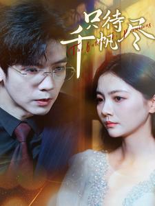 只待千帆盡(2025)海報