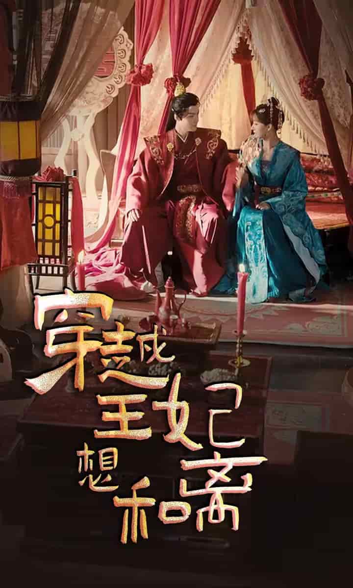 穿越王妃想和離(2024)海報