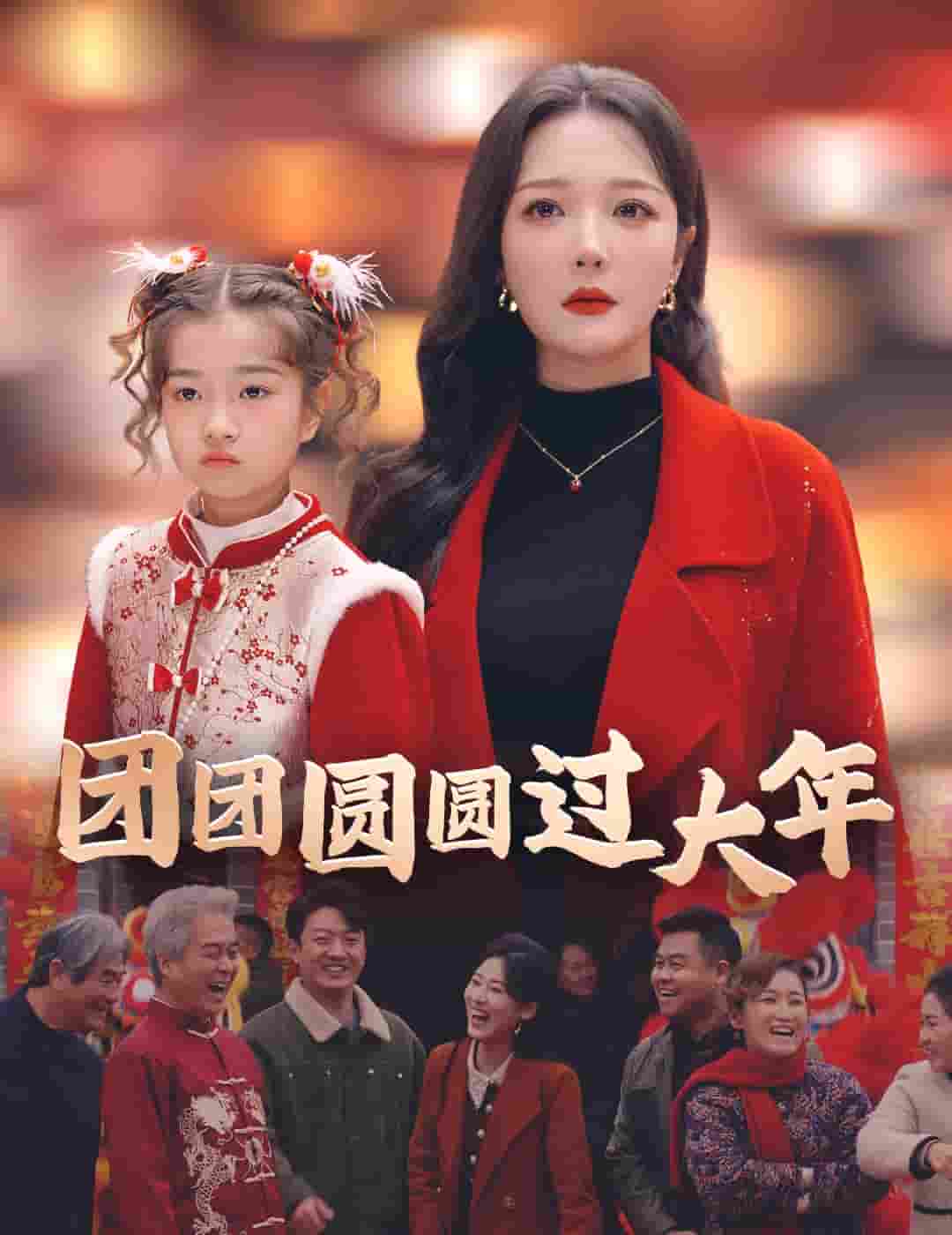 团团圆圆过大年(2025)海报