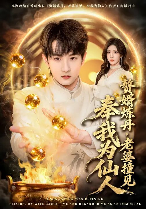 贅婿煉丹,老婆撞見,奉我為仙人(2026)海報