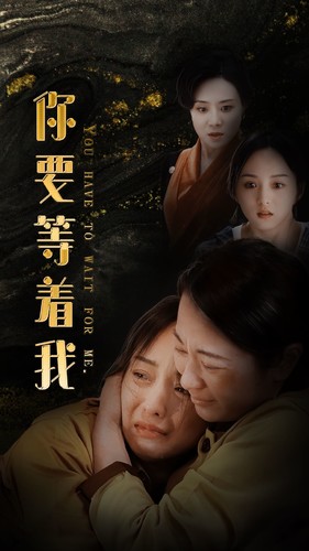 你要等著我(2024)海報