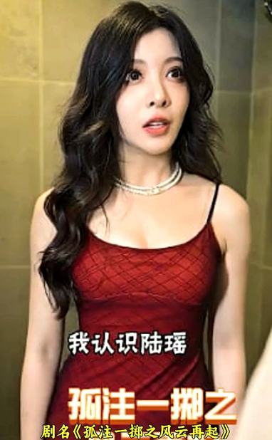 孤注一擲之風雲再起(2023)海報