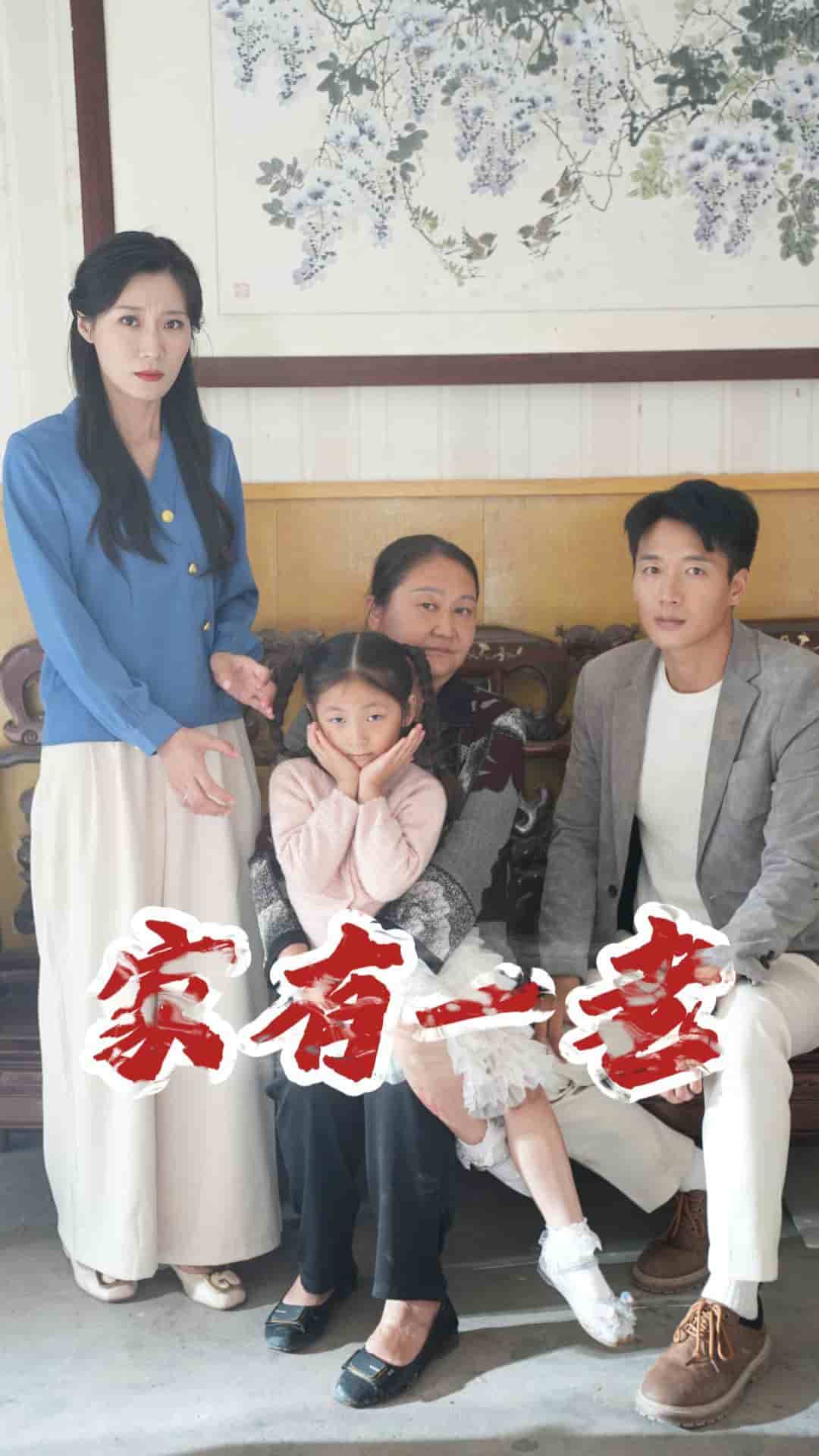 家有一老 短剧版(2024)海报