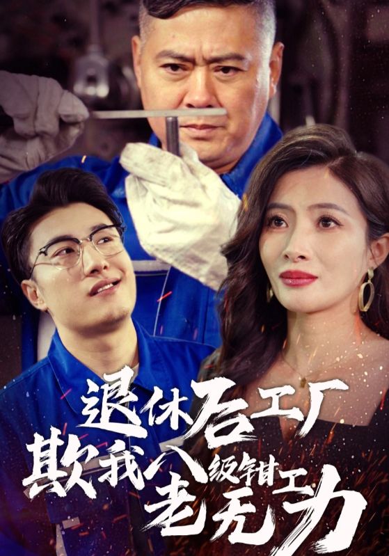 退休後工廠欺我八級鉗工老無力(2024)海報