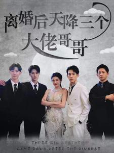 离婚后天降三个大佬哥哥(2024)海报