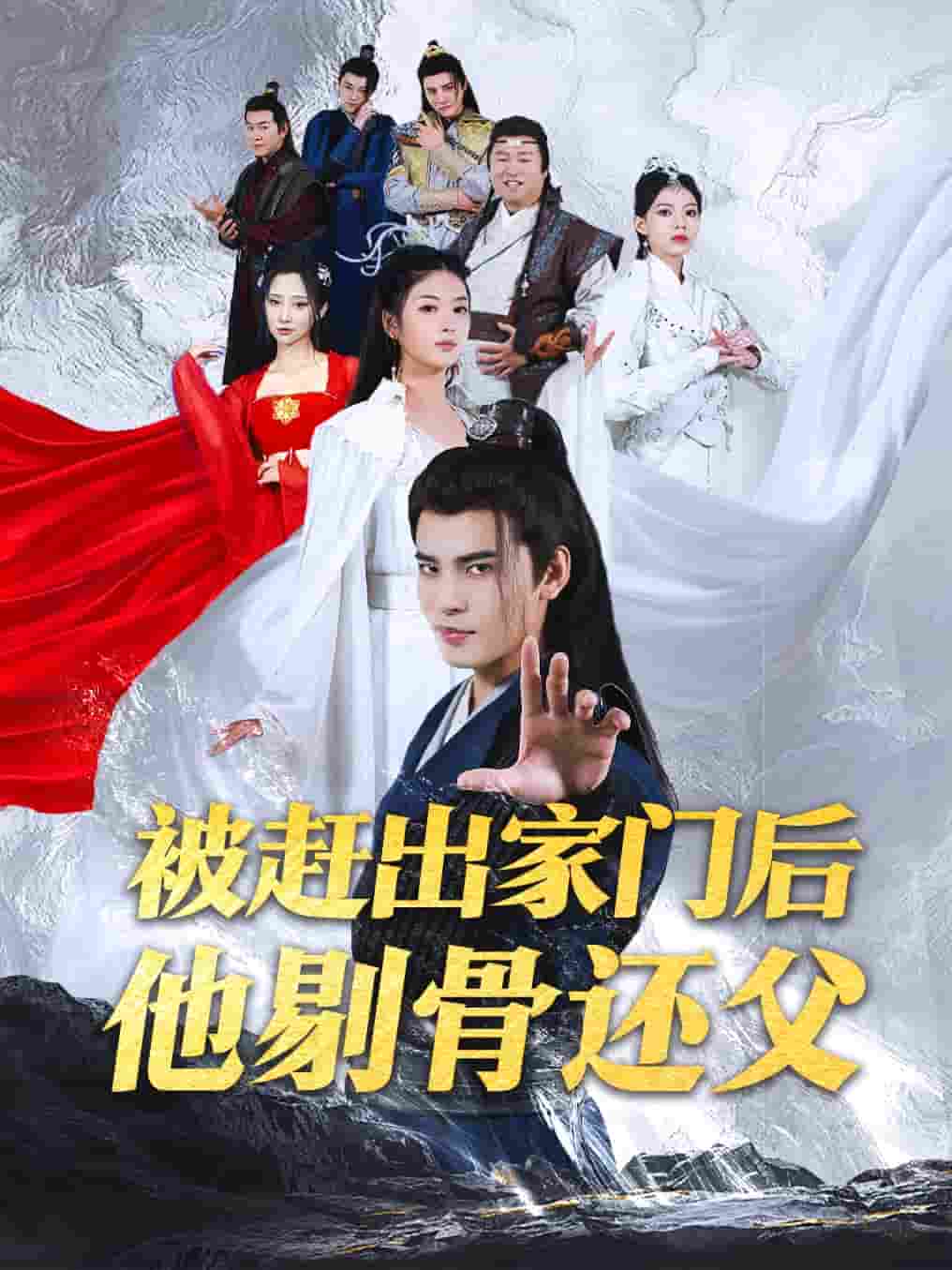 被赶出家门后他剔骨还父(2024)海报