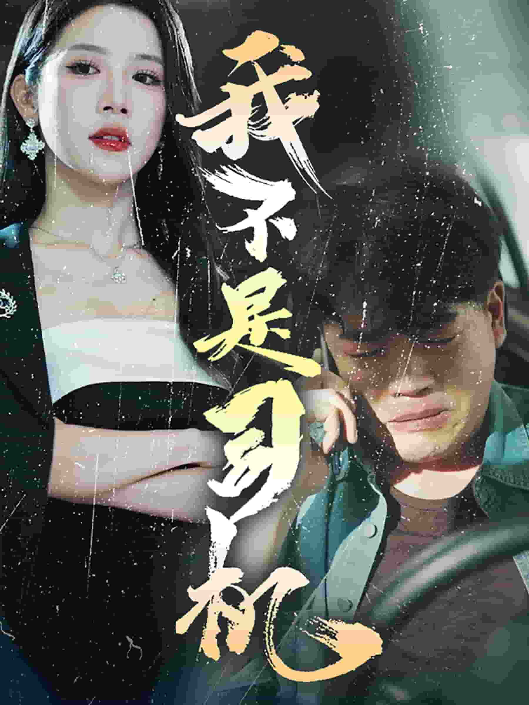 我不是司机(2024)海报