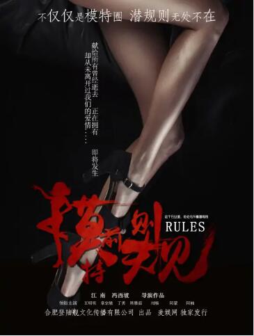 模特前規則(2017)海報