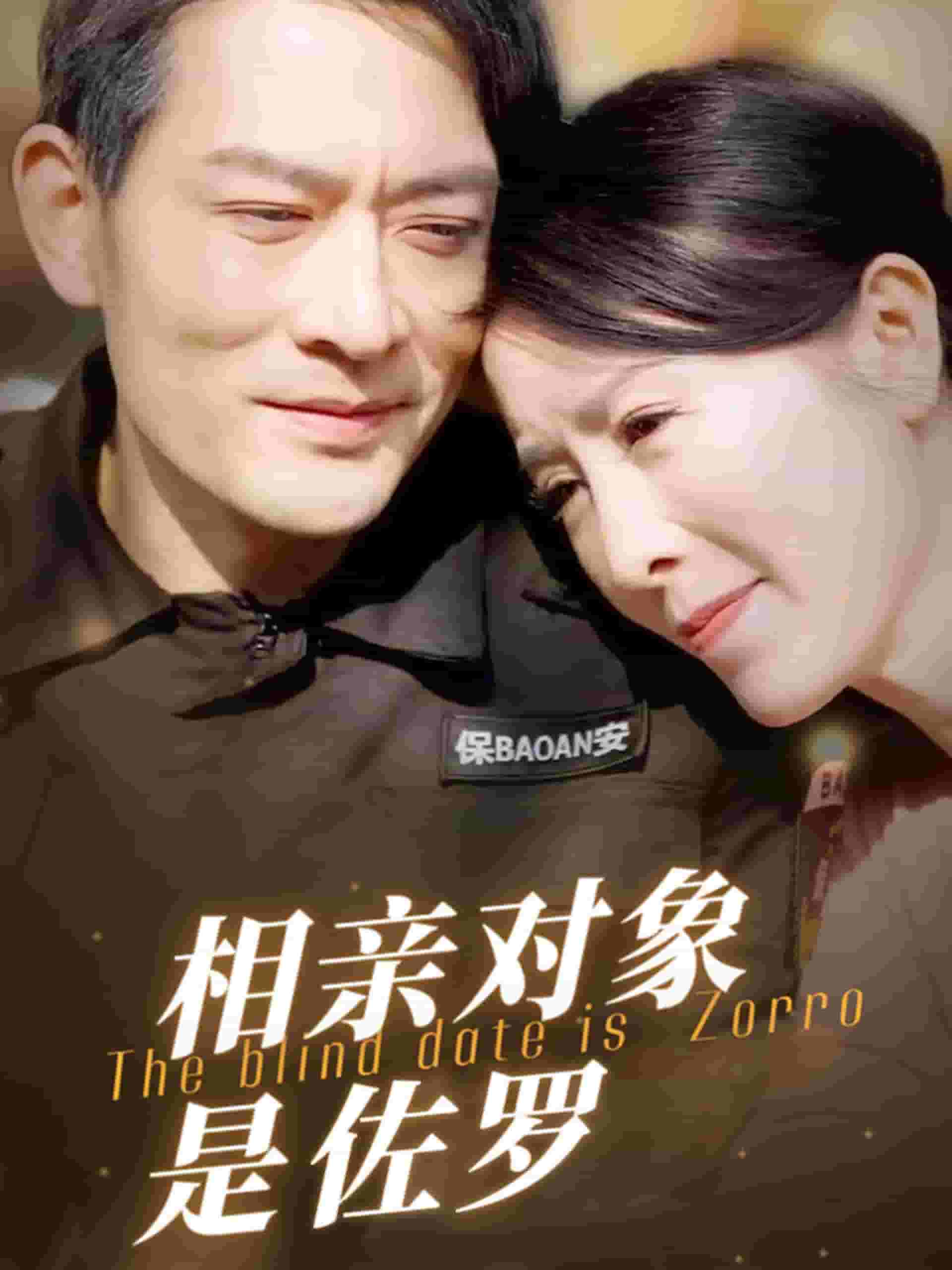 相亲对象是佐罗(2025)海报