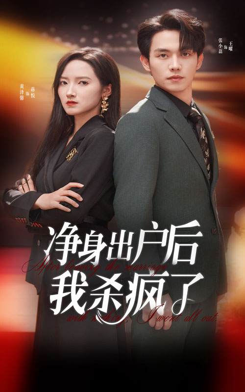 净身出户后我杀疯了(2024)海报