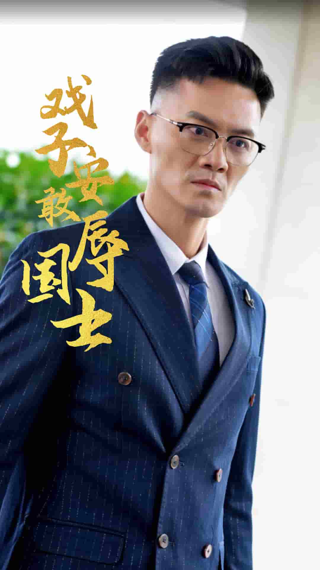 戲子安敢辱國士(2024)海報