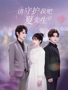 请守护我吧夏先生(2025)海报