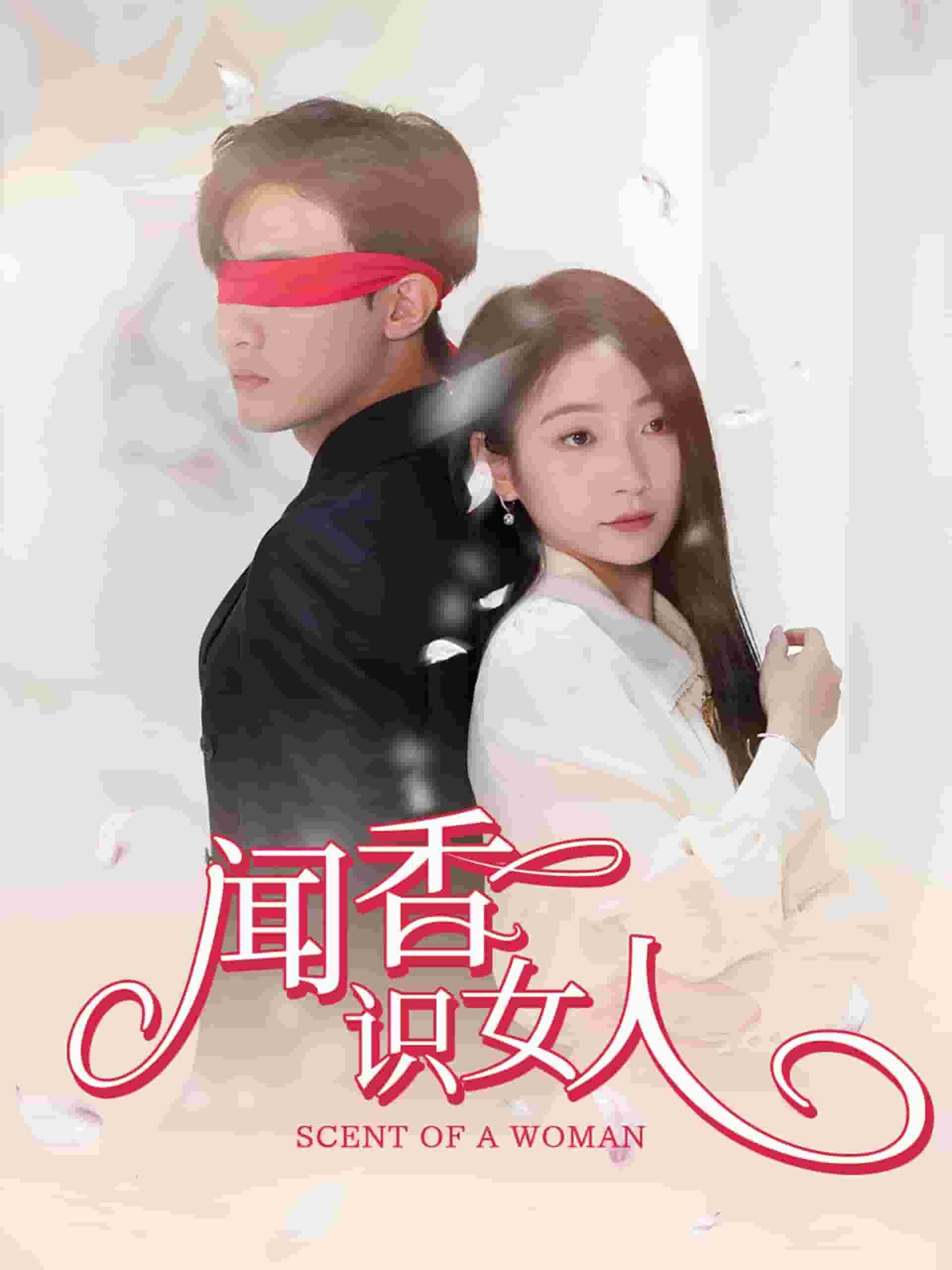 聞香識女人 短劇版(2024)海報