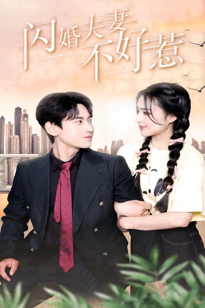 闪婚夫妻不好惹(2024)海报