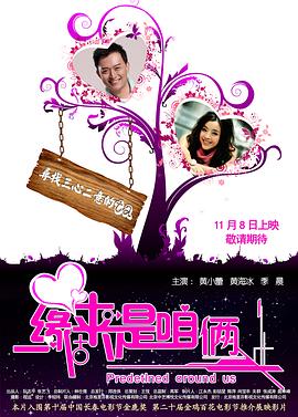 緣來是咱倆(2012)海報