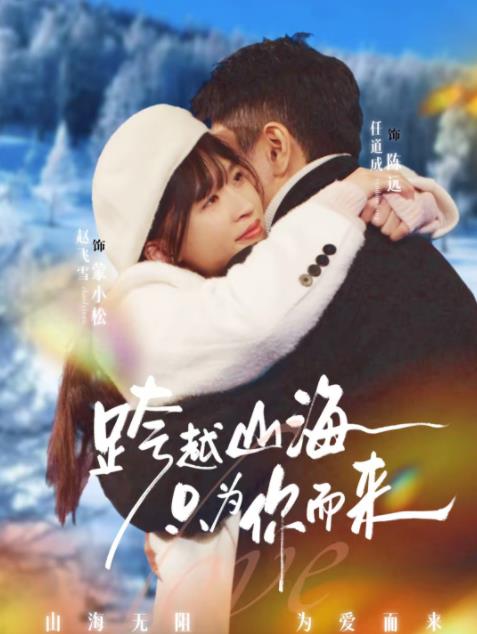 跨越山海只为你而来(2026)海报