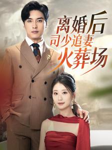 離婚後司少追妻火葬場(2024)海報