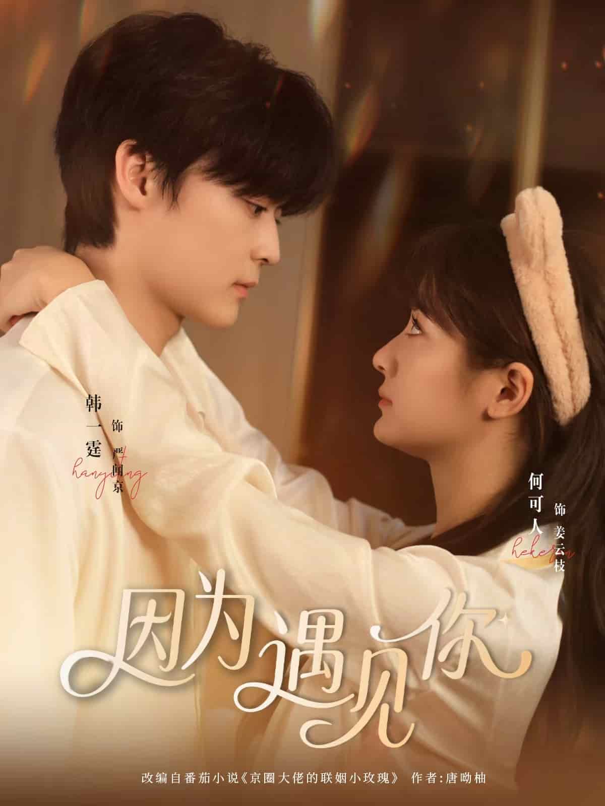 因为遇见你(短剧版)(2025)海报