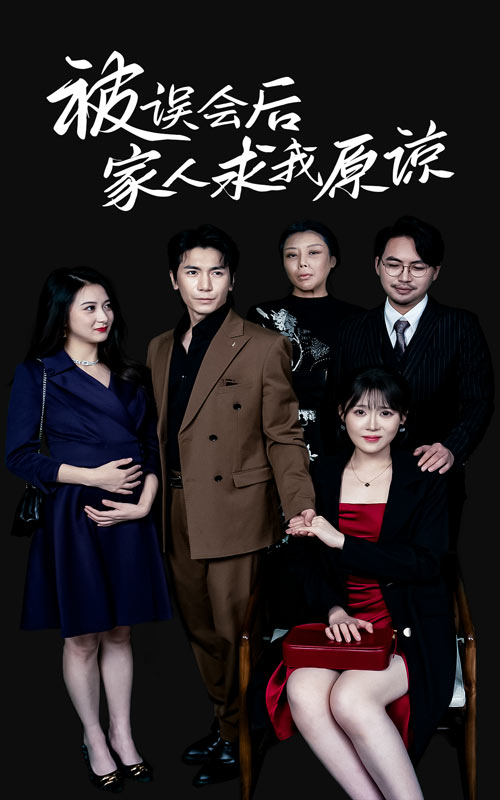 被误会后家人求我原谅(2024)海报