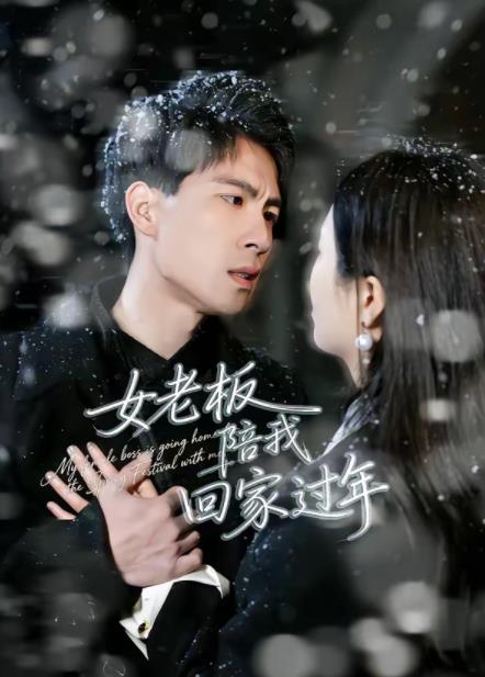 女老闆陪我回家過年(2026)海報