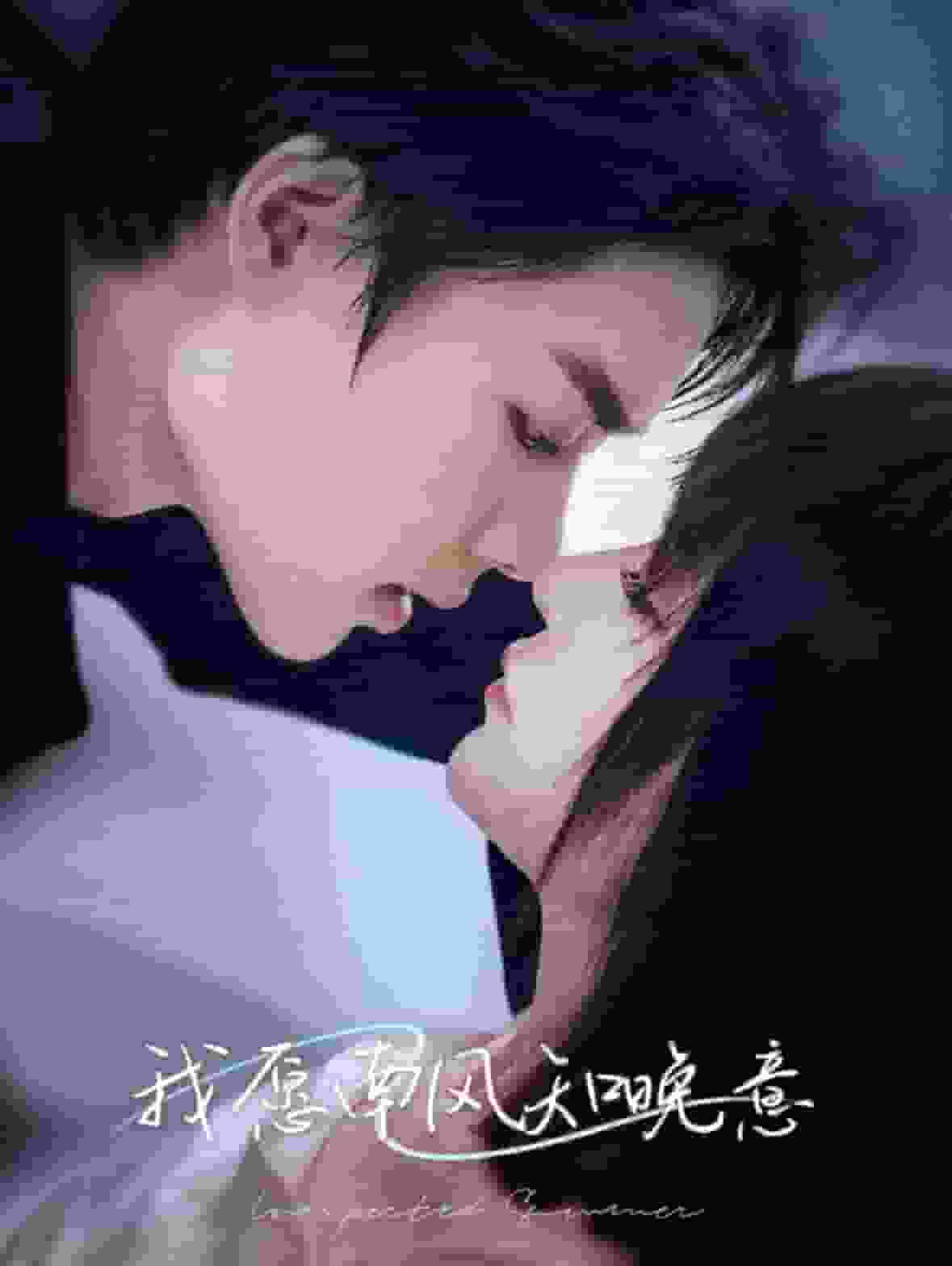 我願南風知晚意(2024)海報