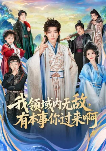 我领域内无敌,有本事你过来啊(2026)海报