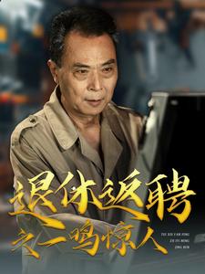 退休返聘之一鸣惊人(2024)海报