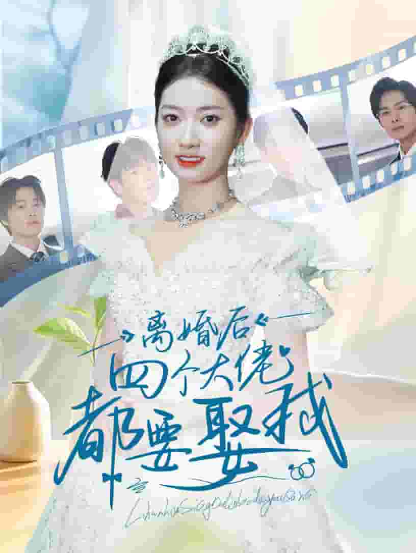离婚后四个大佬都要娶我(2024)海报