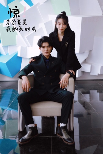 惊!老公竟是我的死对头(2024)海报
