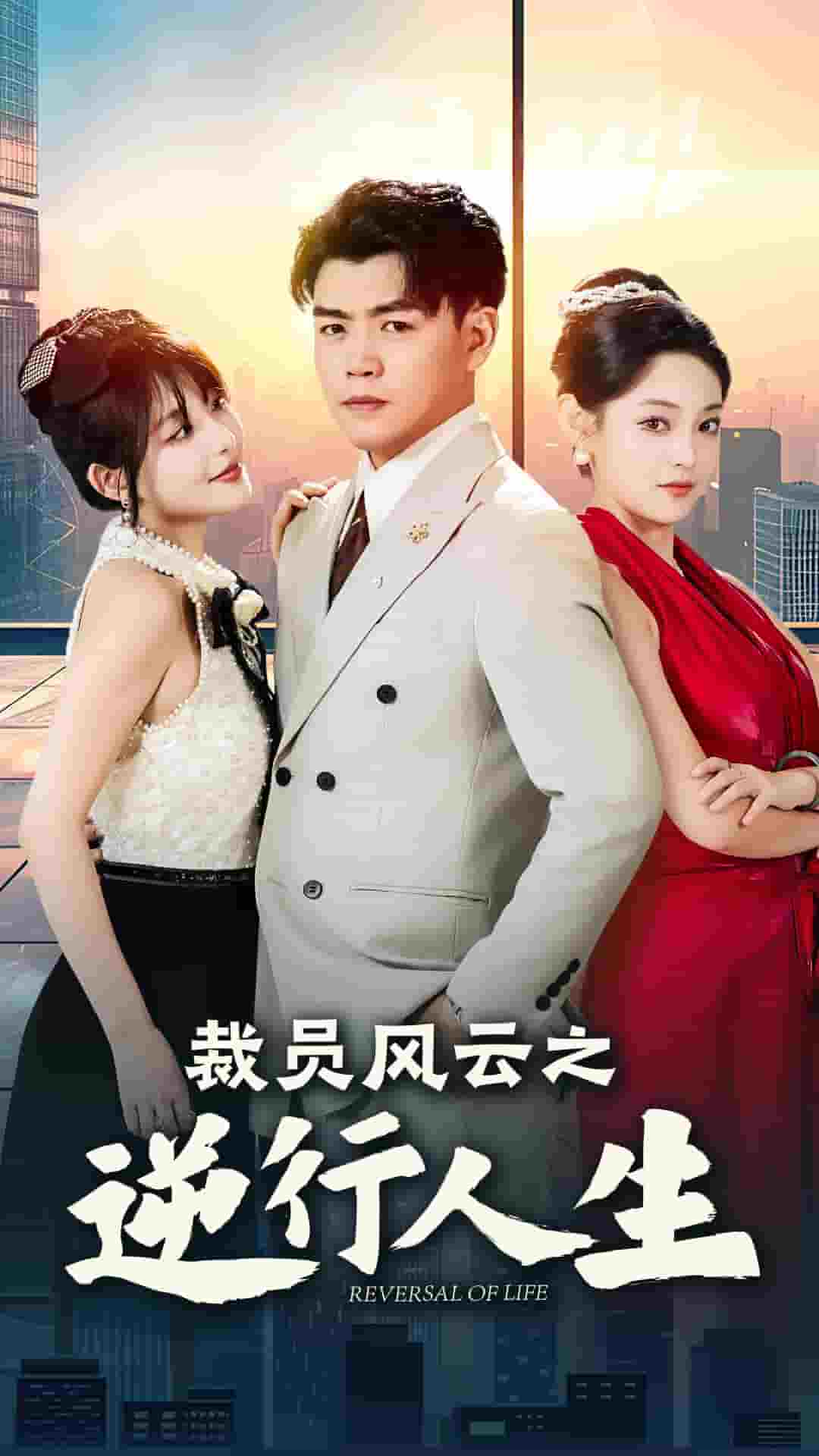 裁员风云之逆行人生(2024)海报
