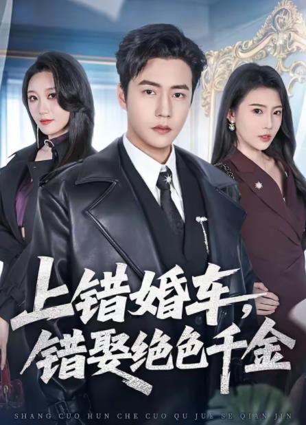 上错婚车,错娶绝色千金(2026)海报