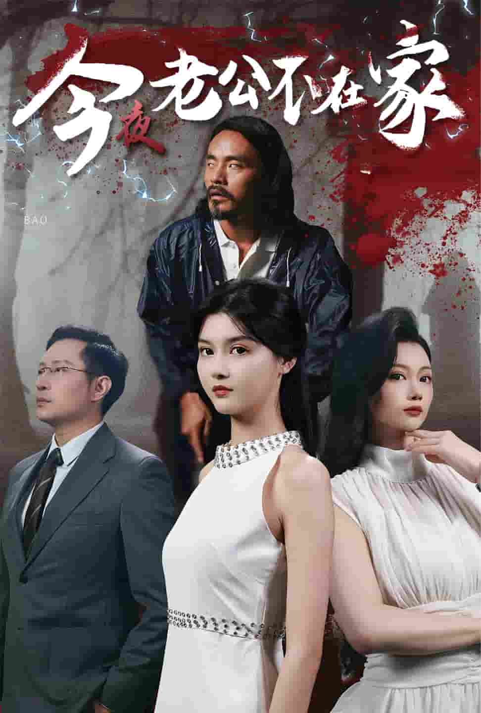 今夜老公不在家(2024)海报