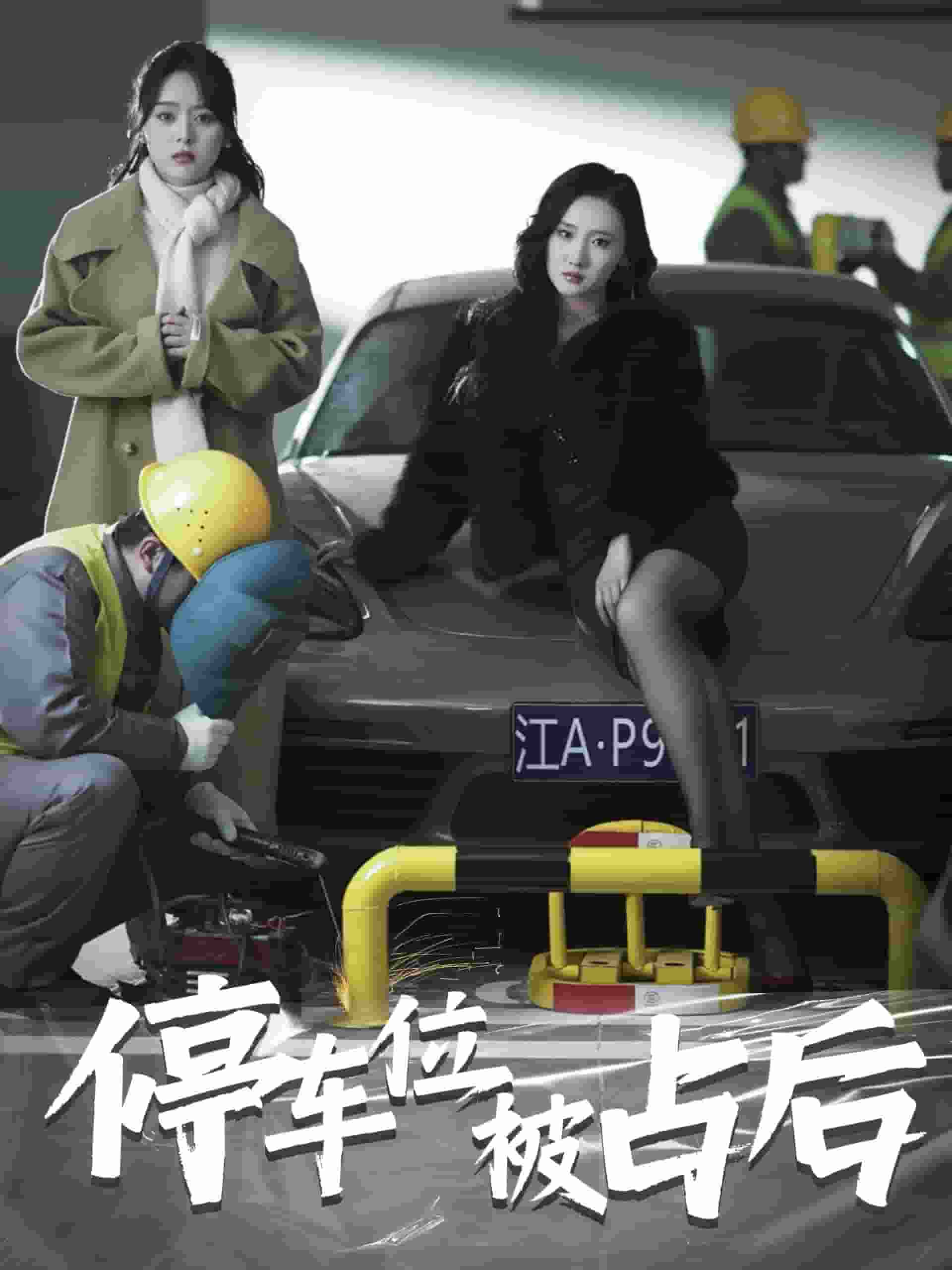 停车位被占后(2025)海报