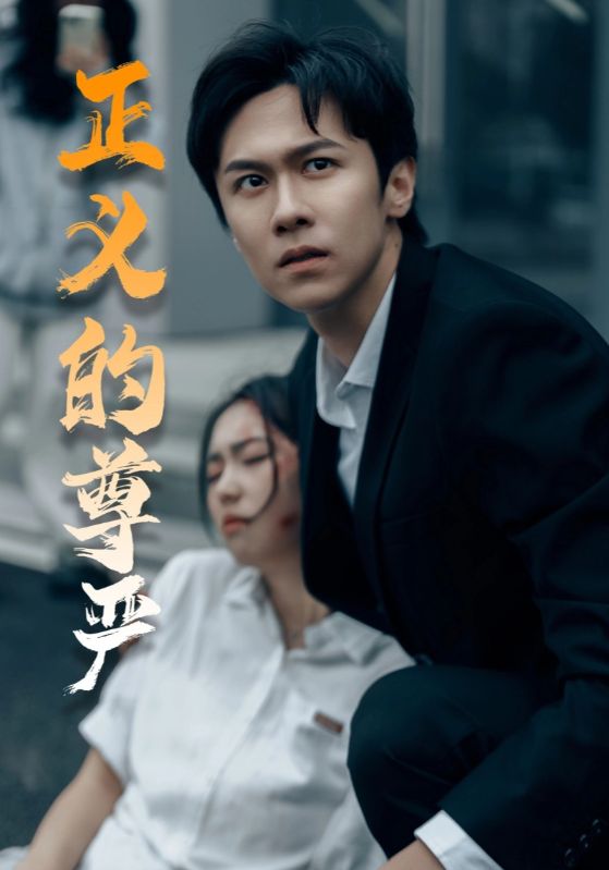 正義的尊嚴(2025)海報