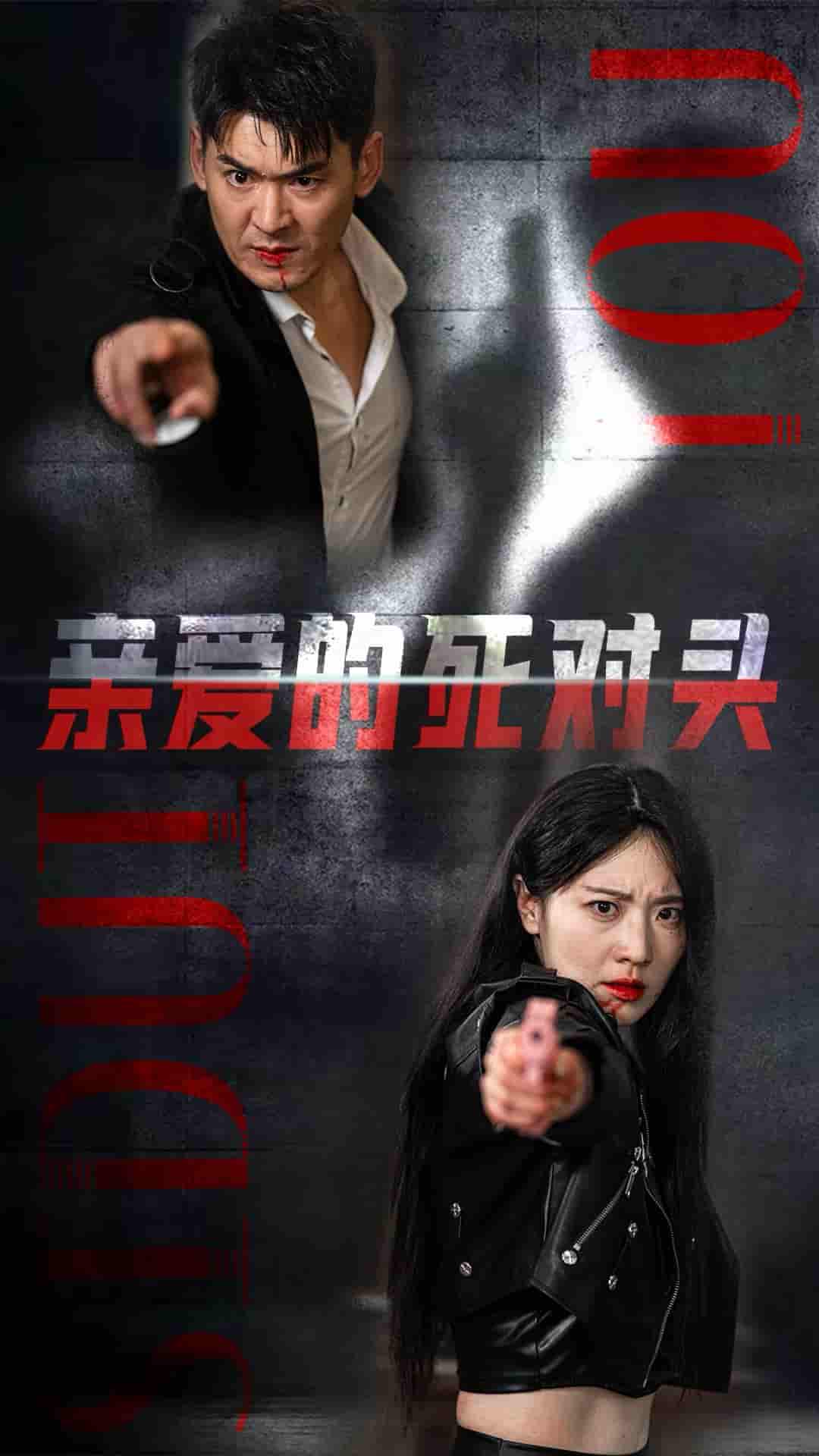 親愛的死對頭(2024)海報